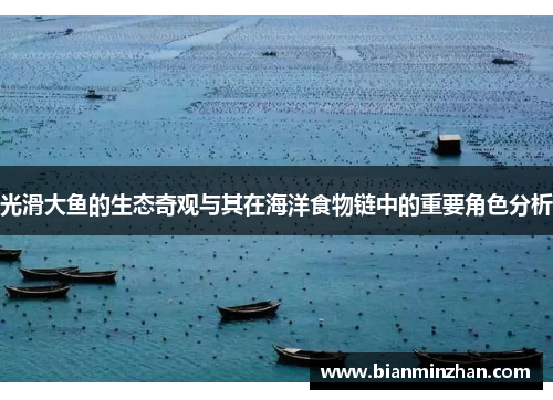 光滑大鱼的生态奇观与其在海洋食物链中的重要角色分析